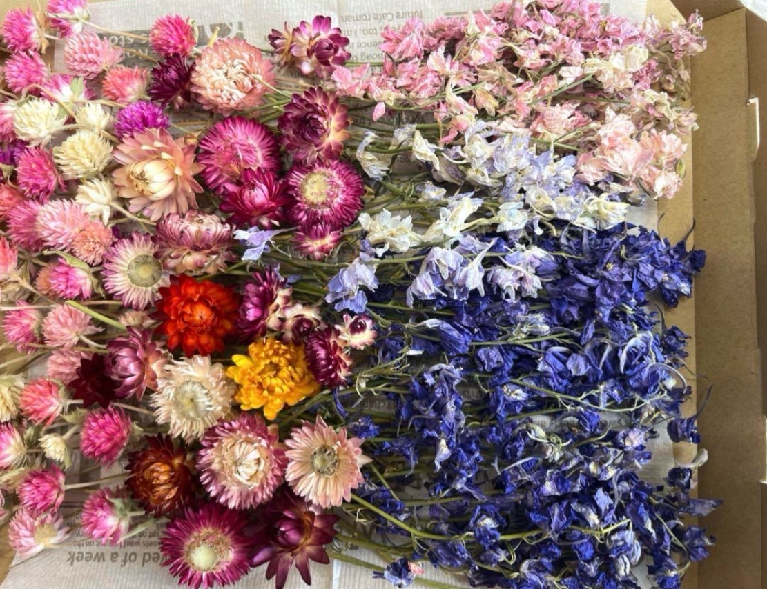ドライフラワー花材3種類セット☆ドライフラワー花材