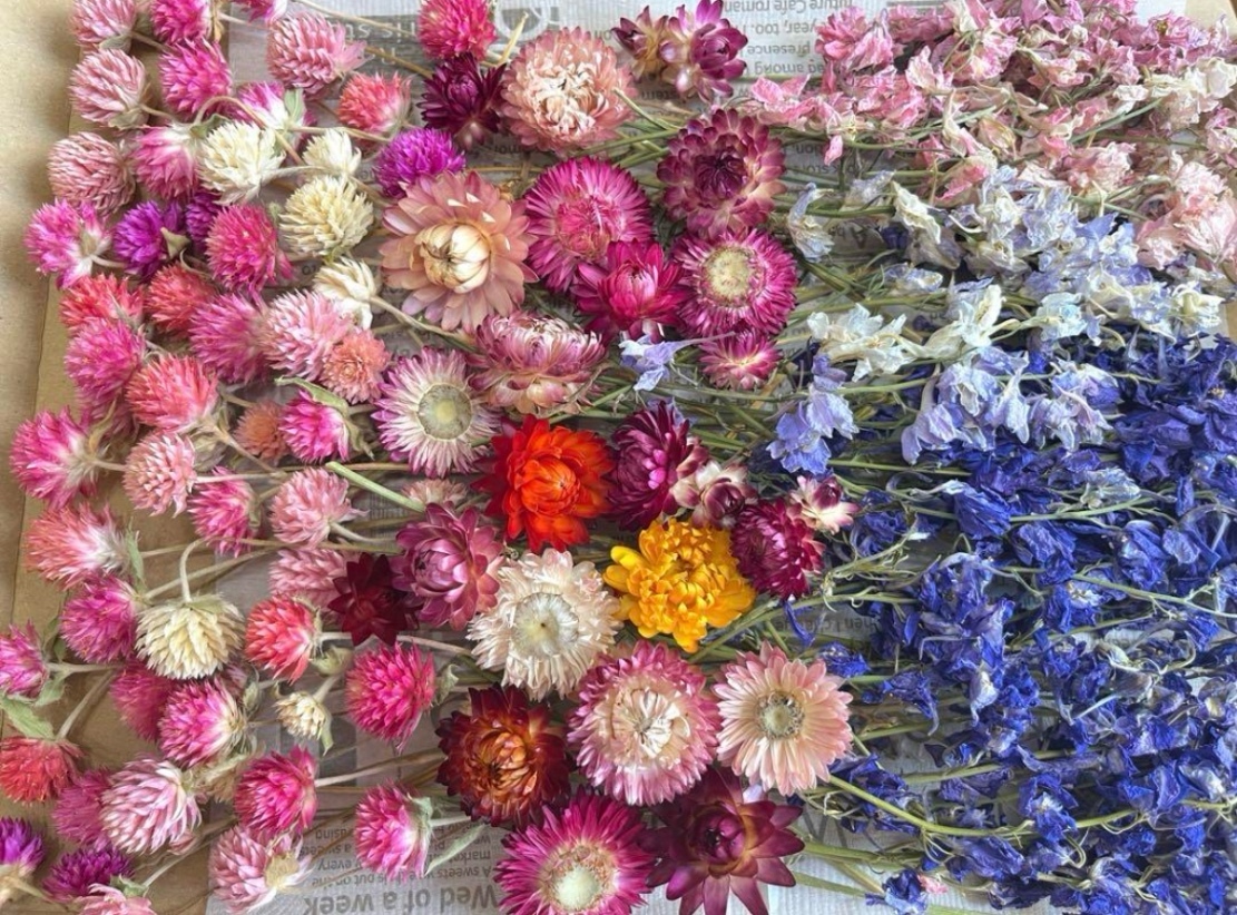 ドライフラワー花材3種類セット☆ドライフラワー花材