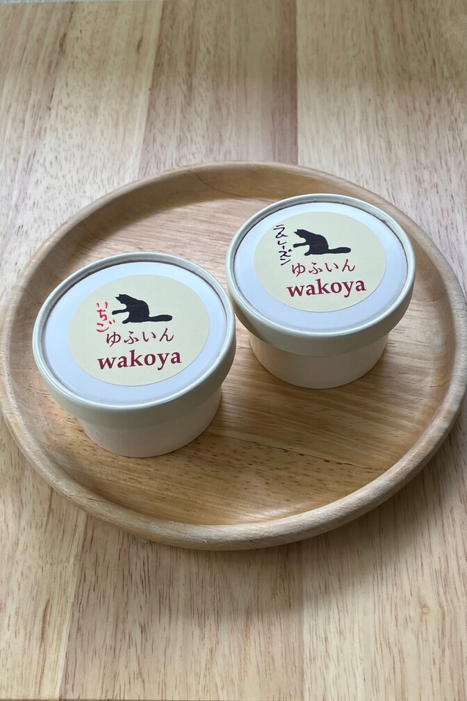 コレステロールO％❗️ヘルシー❗️豆乳アイス２種類詰め合わせ❣️
いちご🍓＆ラムレーズン🍇