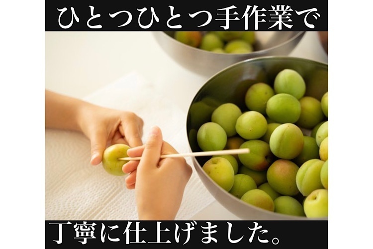 (リベポ、クレ💳利用可)
新漬!!昔ながらの自家製手作り梅干し　300g 