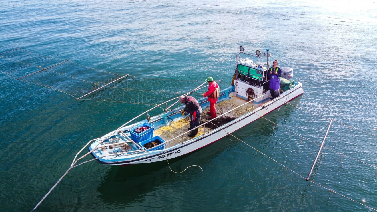 【リベシティ市場オープン記念特価✨】味付け海苔『うめ•わさび』2個セット〜合計128枚入り〜