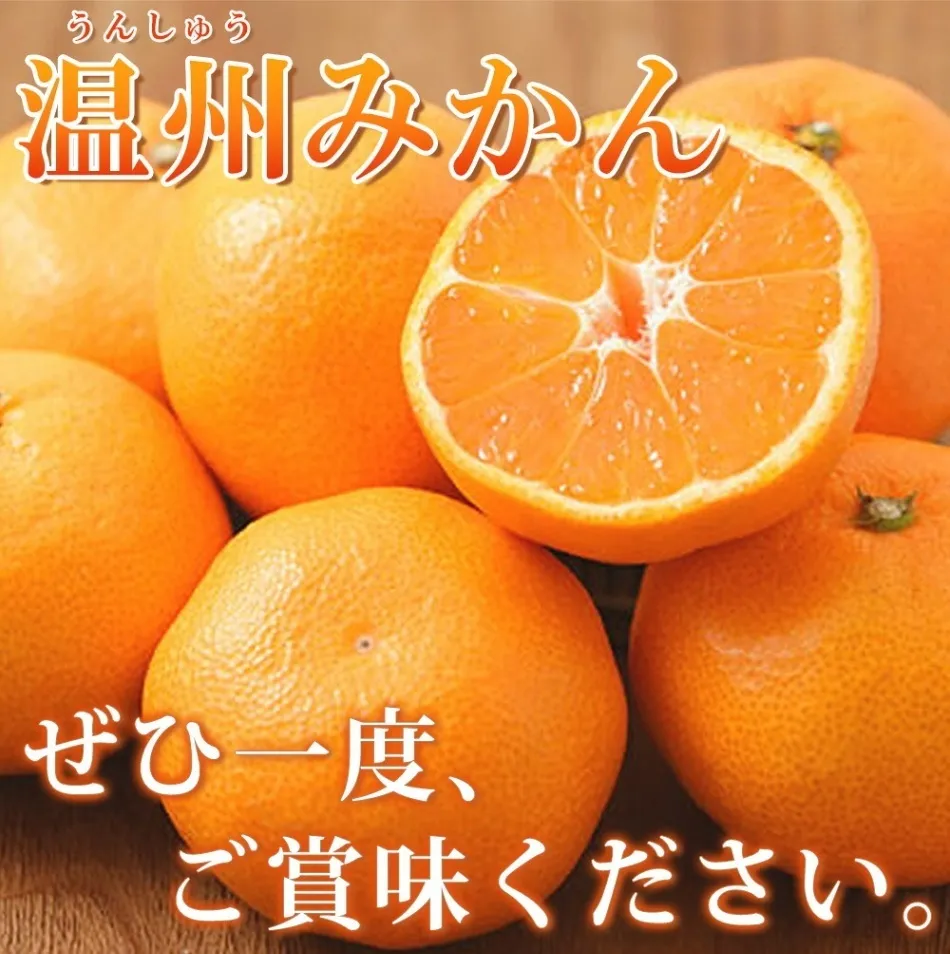有田みかん10kg【訳ありご家庭用】2S〜2Lサイズ混合※11月下旬頃～12月下旬頃発送予定