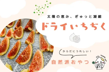 【秋の味覚】毎日のおやつに✨️ 栄養たっぷりドライ無花果
 皮ごと旨味濃縮!自然の甘み‼️