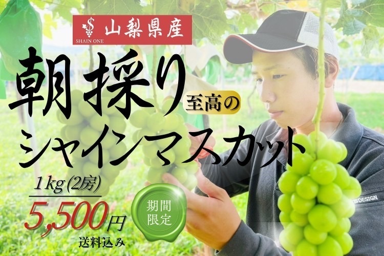 [8月下旬発送]シャインマスカット1kg～発酵の土で育った至高の房～