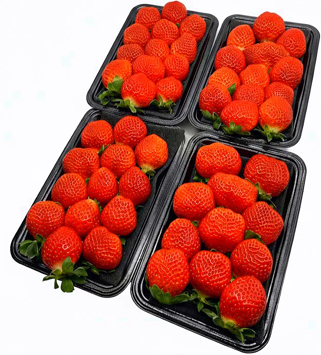 訳あり・小粒！極ウマ あまおう1kg入 少し訳あり 苺(いちご)イチゴ B品