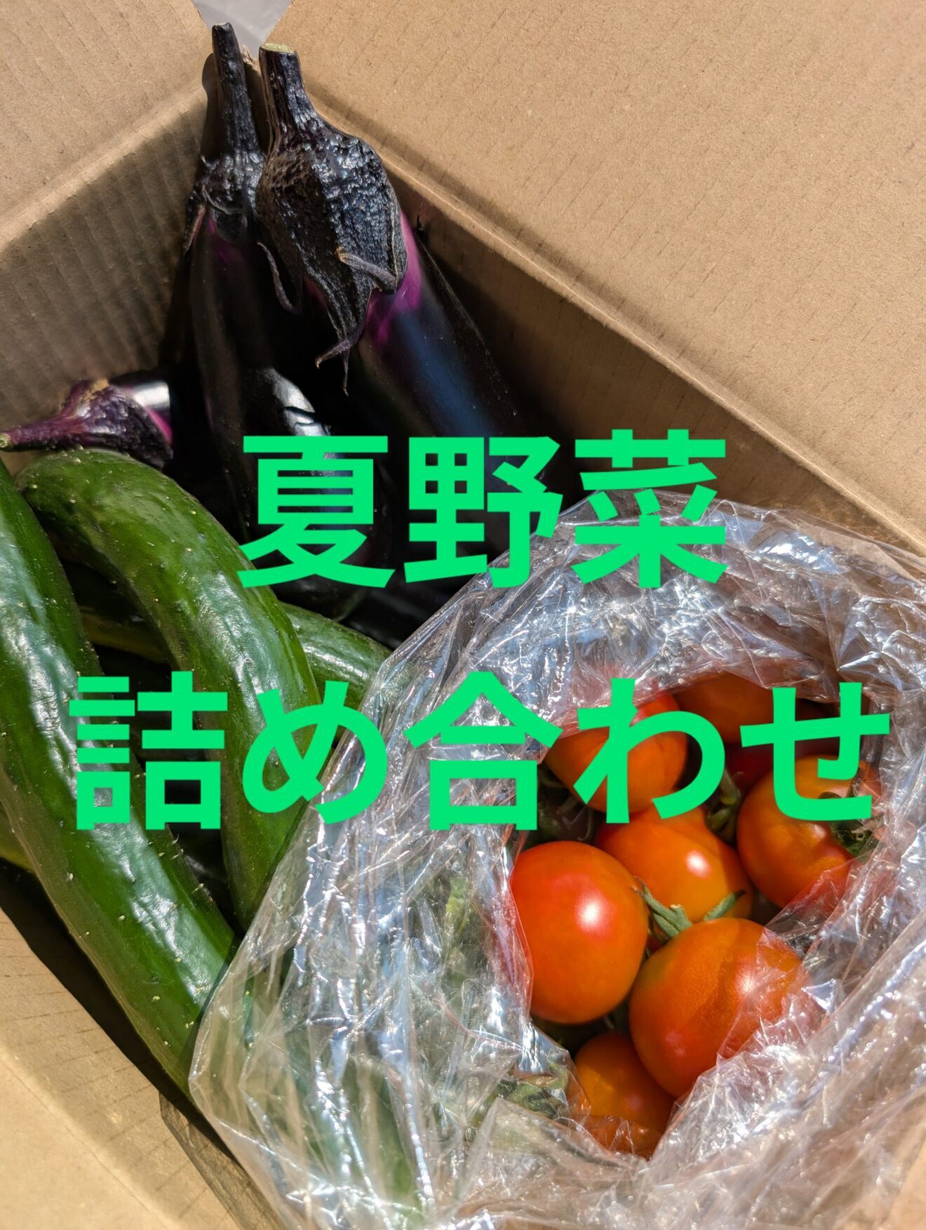 （（採りたて夏野菜セット））きゅうりとナスとトマト３種類です！