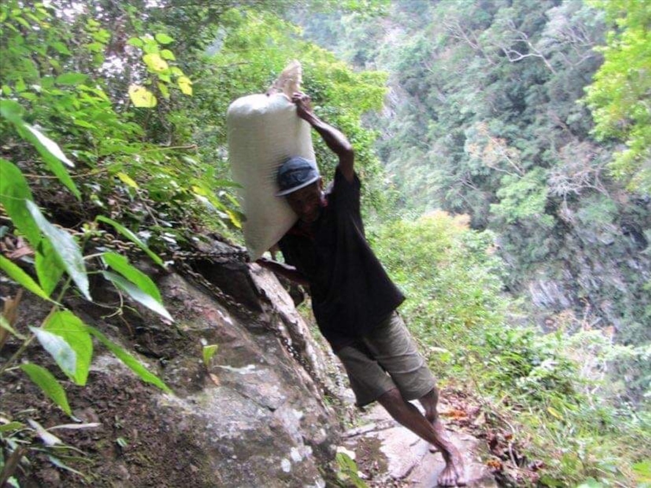 【EXPO展示】パプアニューギニア豆のドリップパック5袋セット