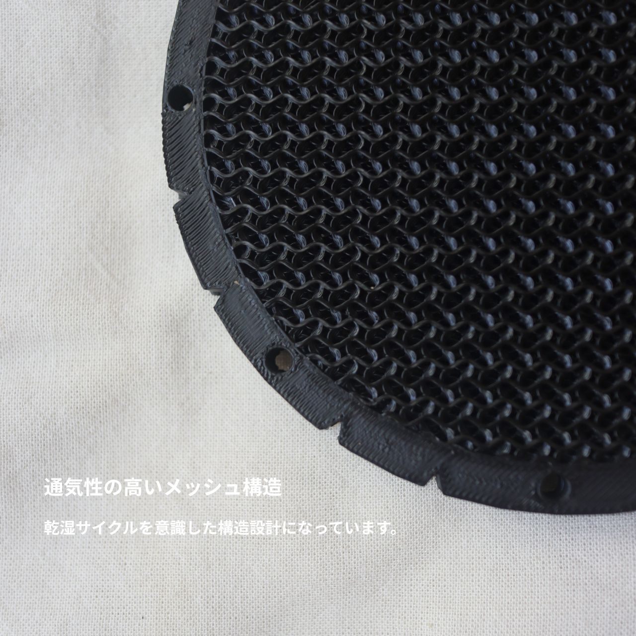 【違いを楽しめる！】ビカクシダ　３品種セット