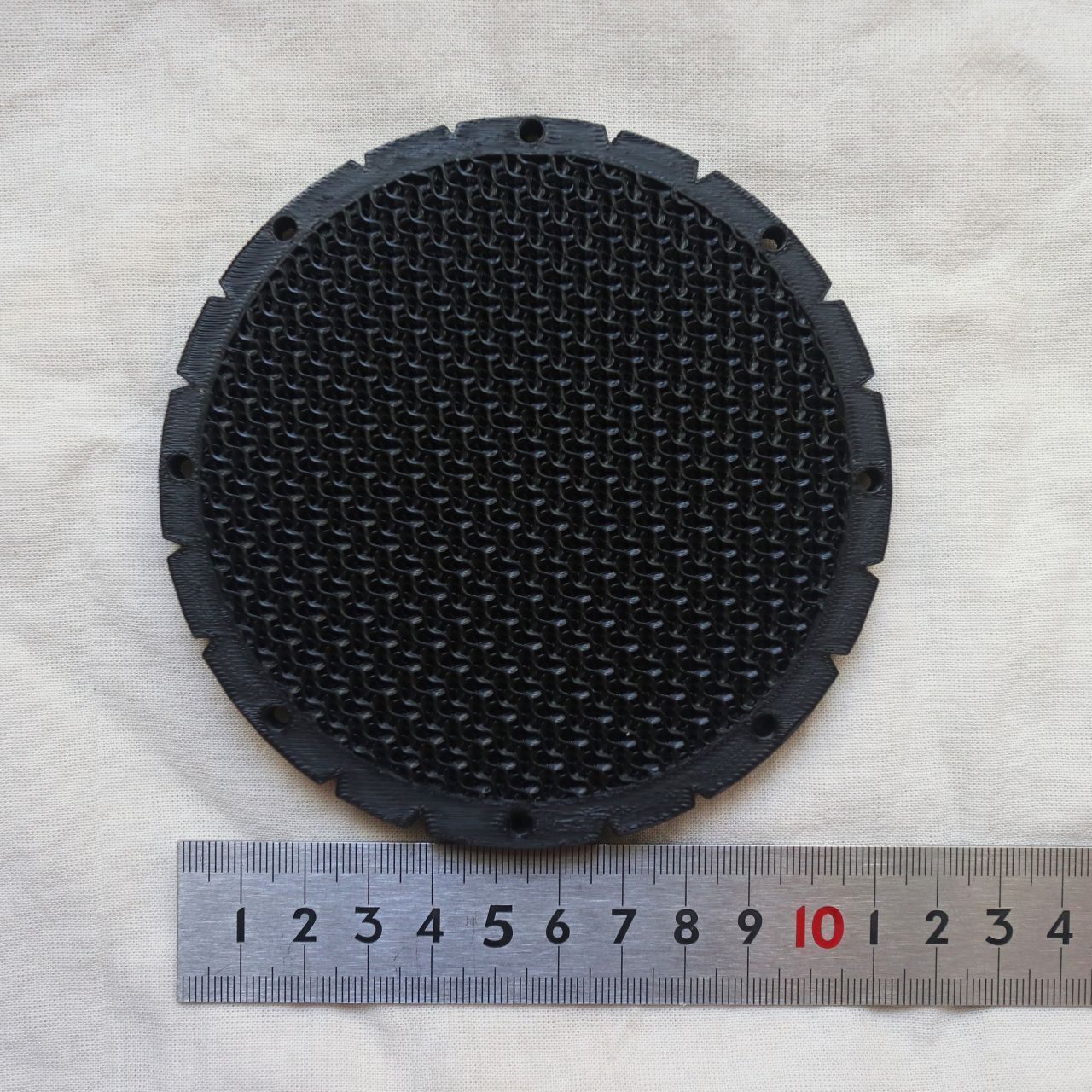 【違いを楽しめる！】ビカクシダ　３品種セット