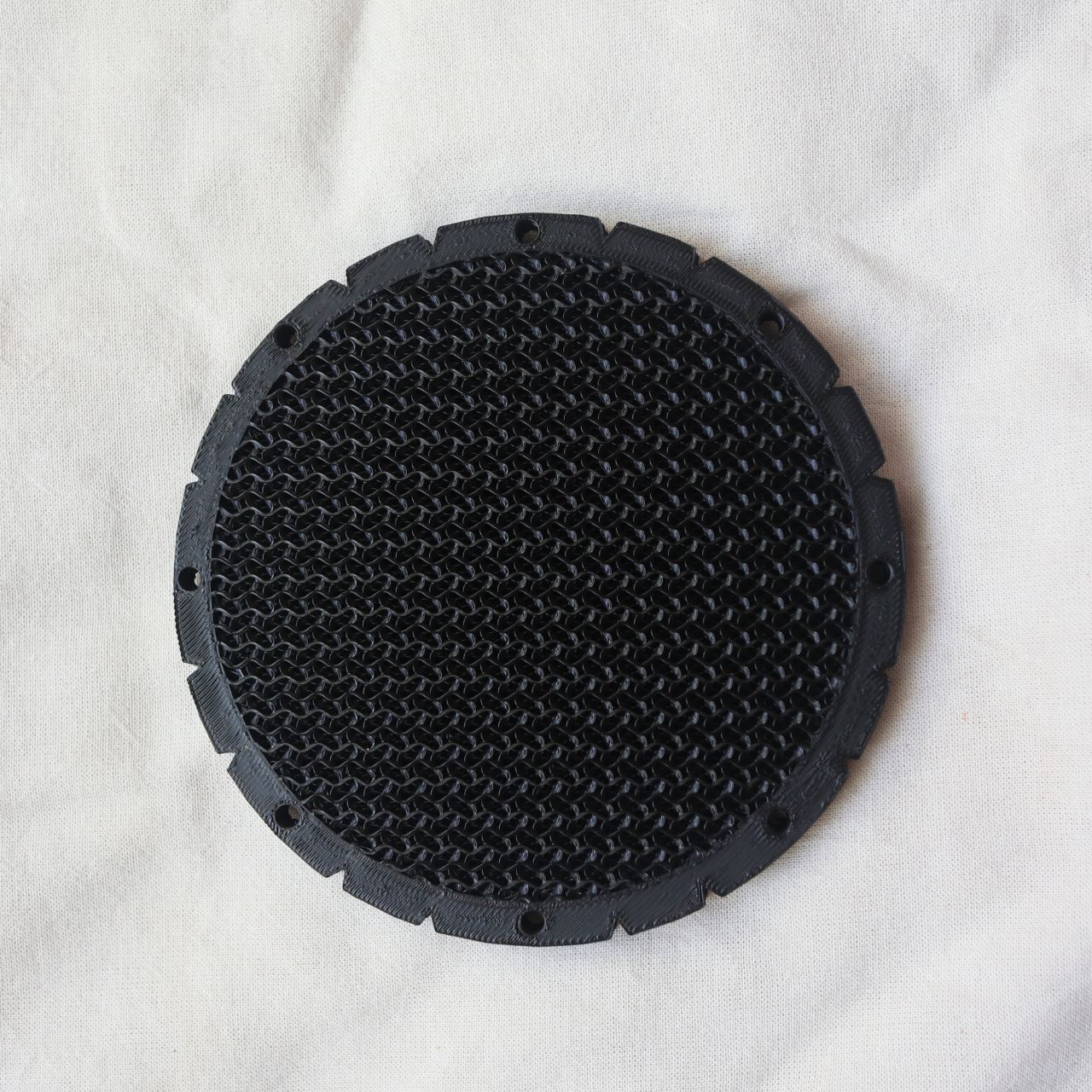 【違いを楽しめる！】ビカクシダ　３品種セット