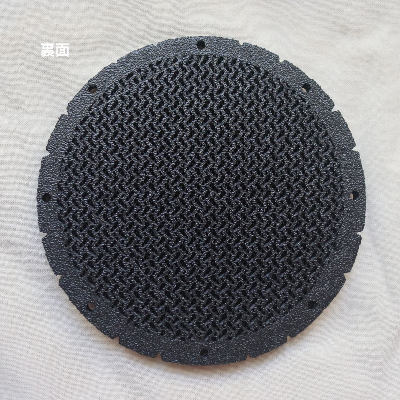 【違いを楽しめる！】ビカクシダ　３品種セット