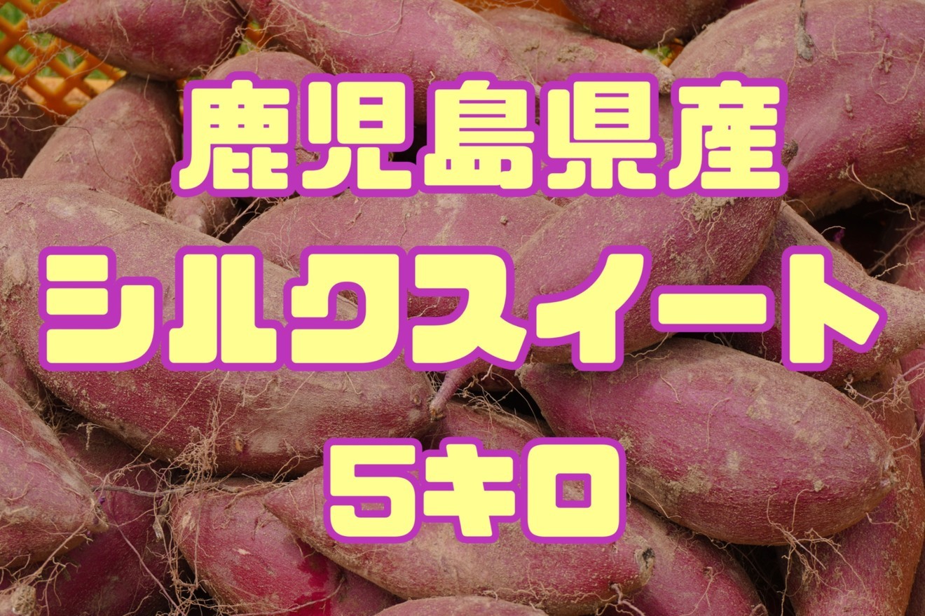 鹿児島県産さつまいもA品
贈り物にも喜ばれる！！
【シルクスイート】