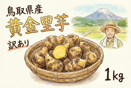 【訳あり】鳥取県産 砂丘育ち 黄金里芋 土付き1kg前後（傷・不揃い）