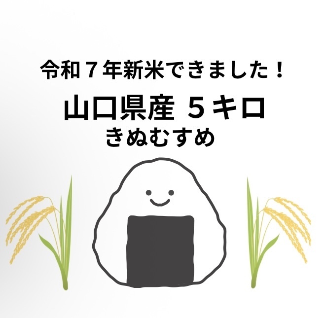 ⭐︎値下げしました！令和7年新米　山口県産　きぬむすめ　5キロ⭐︎