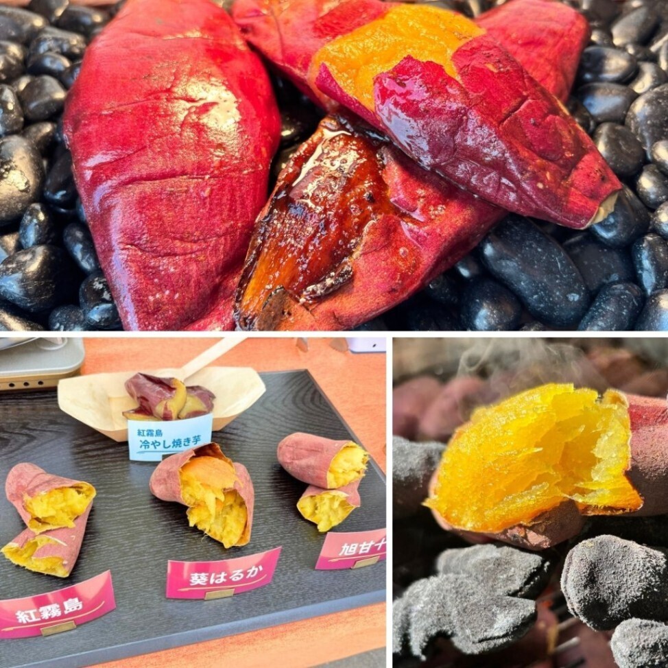 【焼き芋屋の真空冷凍焼き芋】紅はるか 蜜芋1kg 紅霧島A品使用 スイーツダイエット 腸活 筋トレに