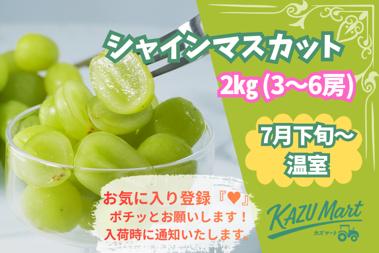【ご自宅でぷち贅沢】ぶどうシャインマスカット２ｋｇ（4〜6房）