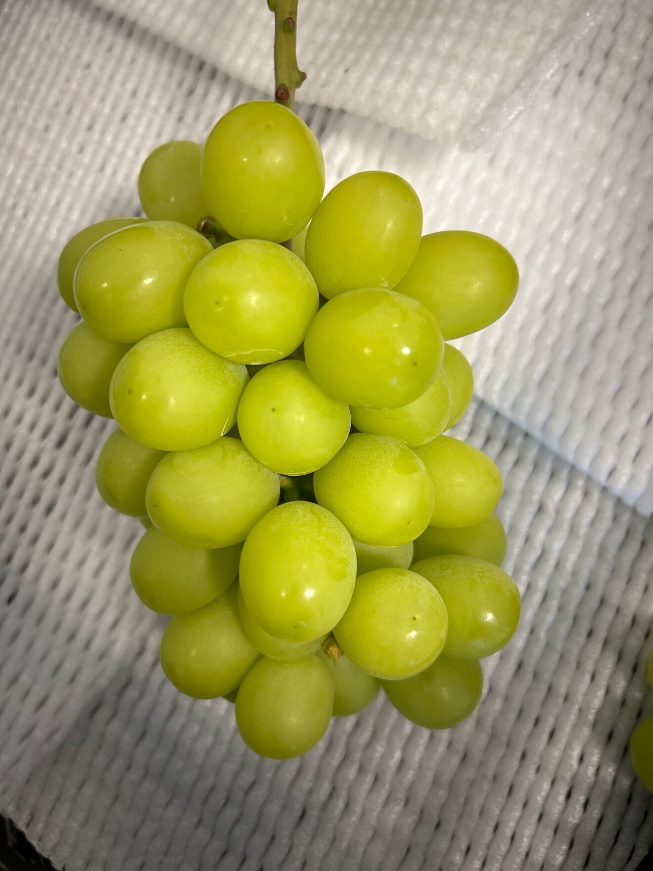 【ご自宅でぷち贅沢】ぶどうシャインマスカット２ｋｇ（4〜6房）