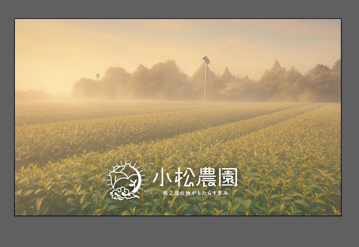 緑空茶水出しティーバッグ〜露星〜【日本唯一の新技術採用】