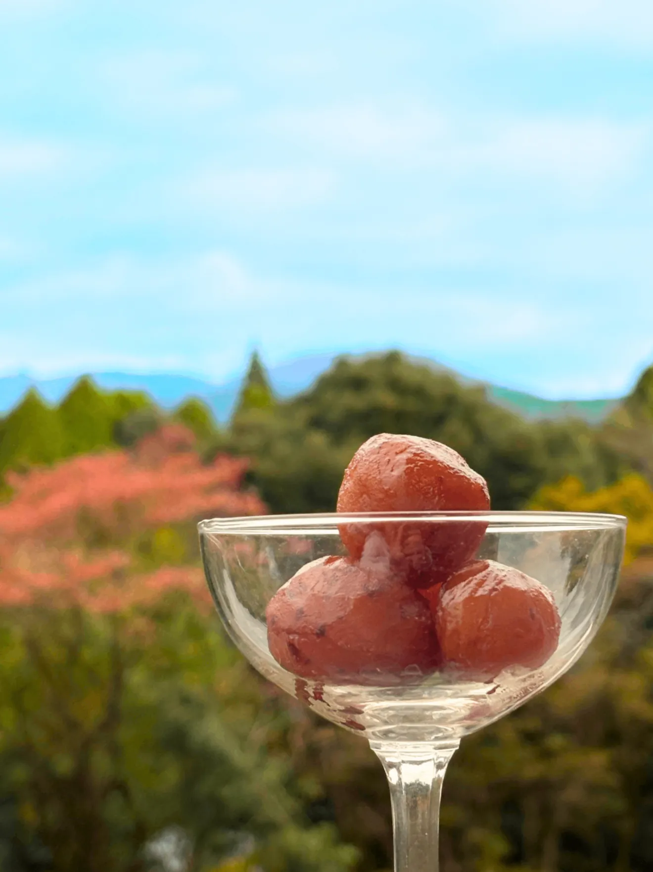 【秋の味覚】ラム酒香る、和栗のマロングラッセ　