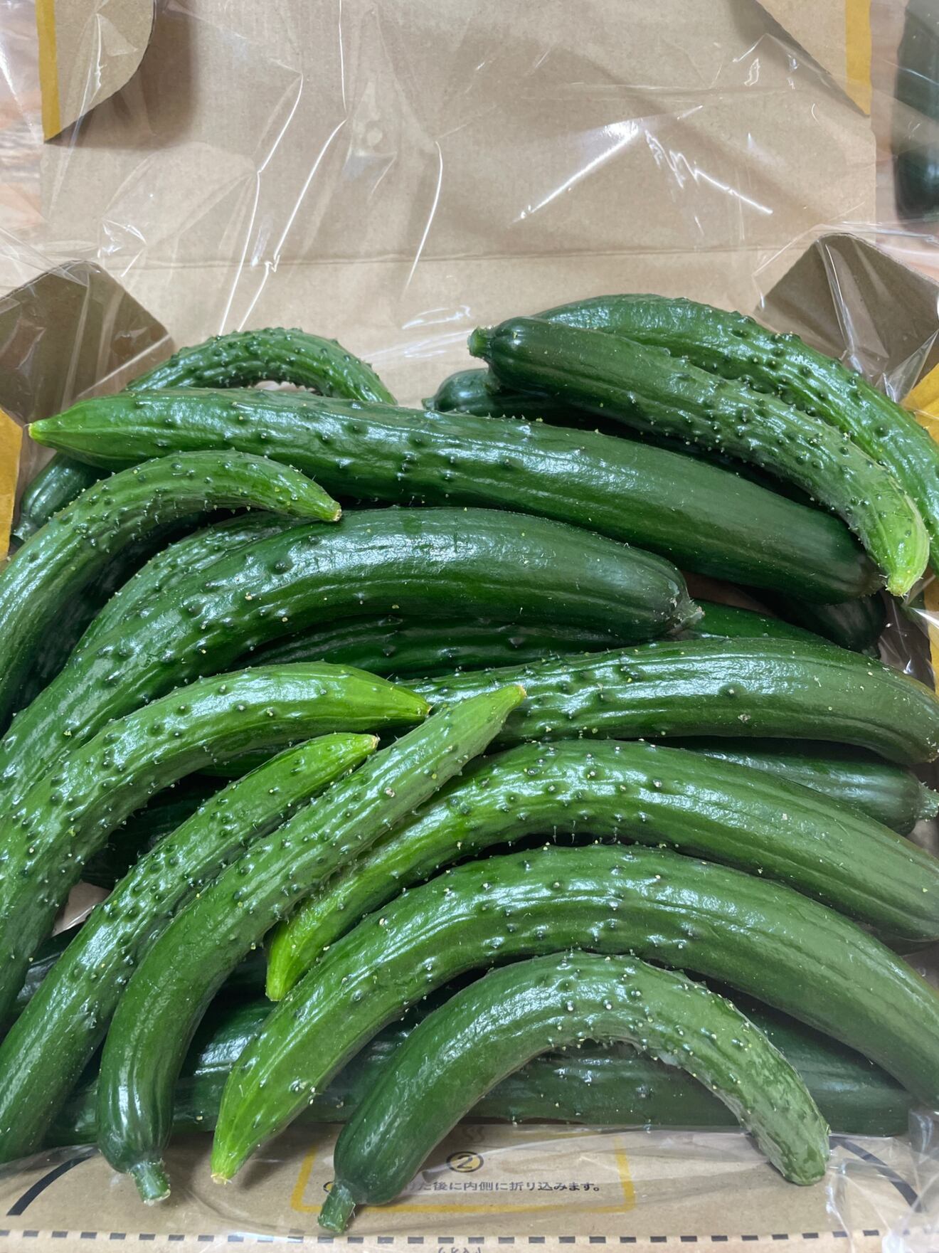 【お試しサイズ】新物　まっすぐとミニきゅうり（少なめ）ミックスになります🥒