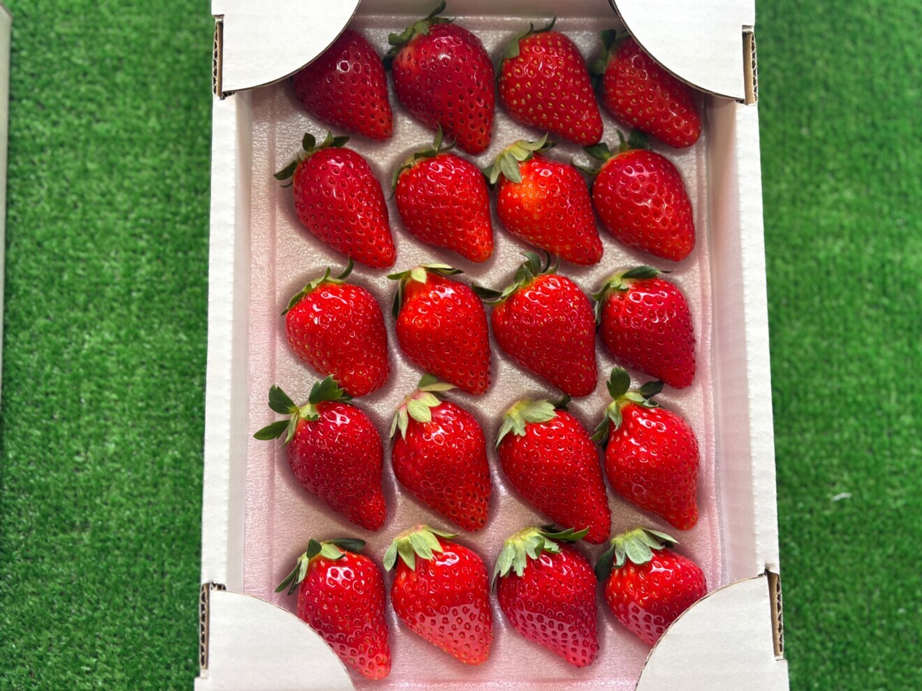 浜いちごのおまかせ詰め合わせ
(20粒入り)