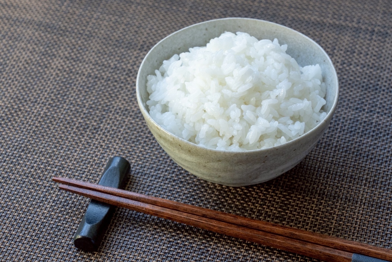 【限定価格】令和7年産 『新米』淡路島産 キヌヒカリ 白米 5kg 産地直送 精米済み