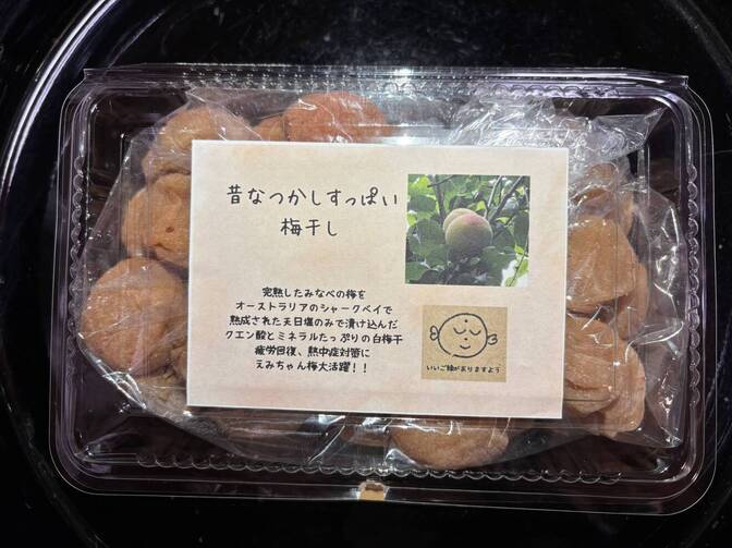 天日塩のみで漬け込んだ　昔ながらの酸っぱい白干し梅　
５００g　令和７年度産