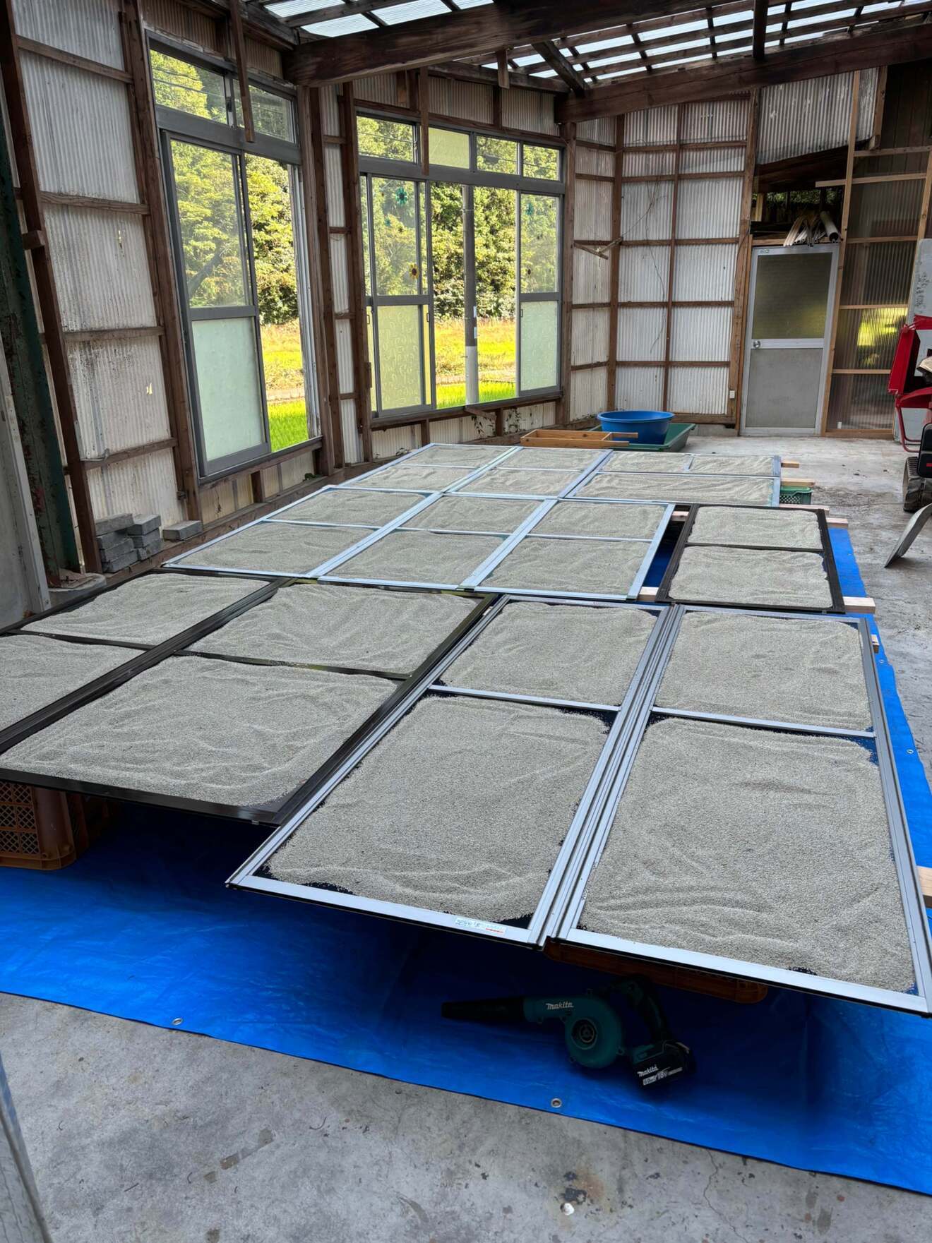 父の畑から贈る　健康応援セット　　　　　　　　　　　　　　　　　　　～えごま油2本と有機にんにく～
