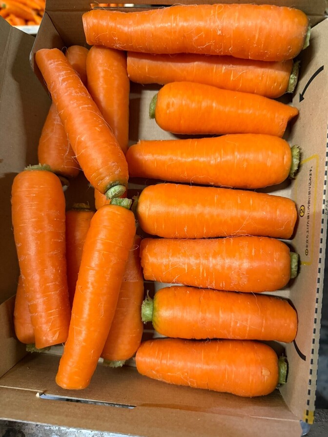 酪農家が作った有機肥料で育てた人参（食べきりサイズ）