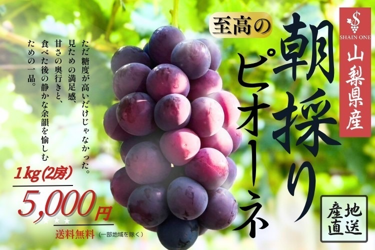 山梨県産:贈答用ピオーネ[1kg]～発酵の土で育った至高の房～