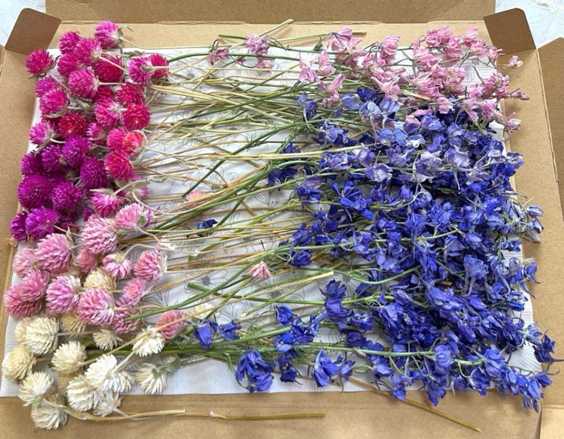 千鳥草＆千日紅のドライフラワー☆ドライフラワー花材