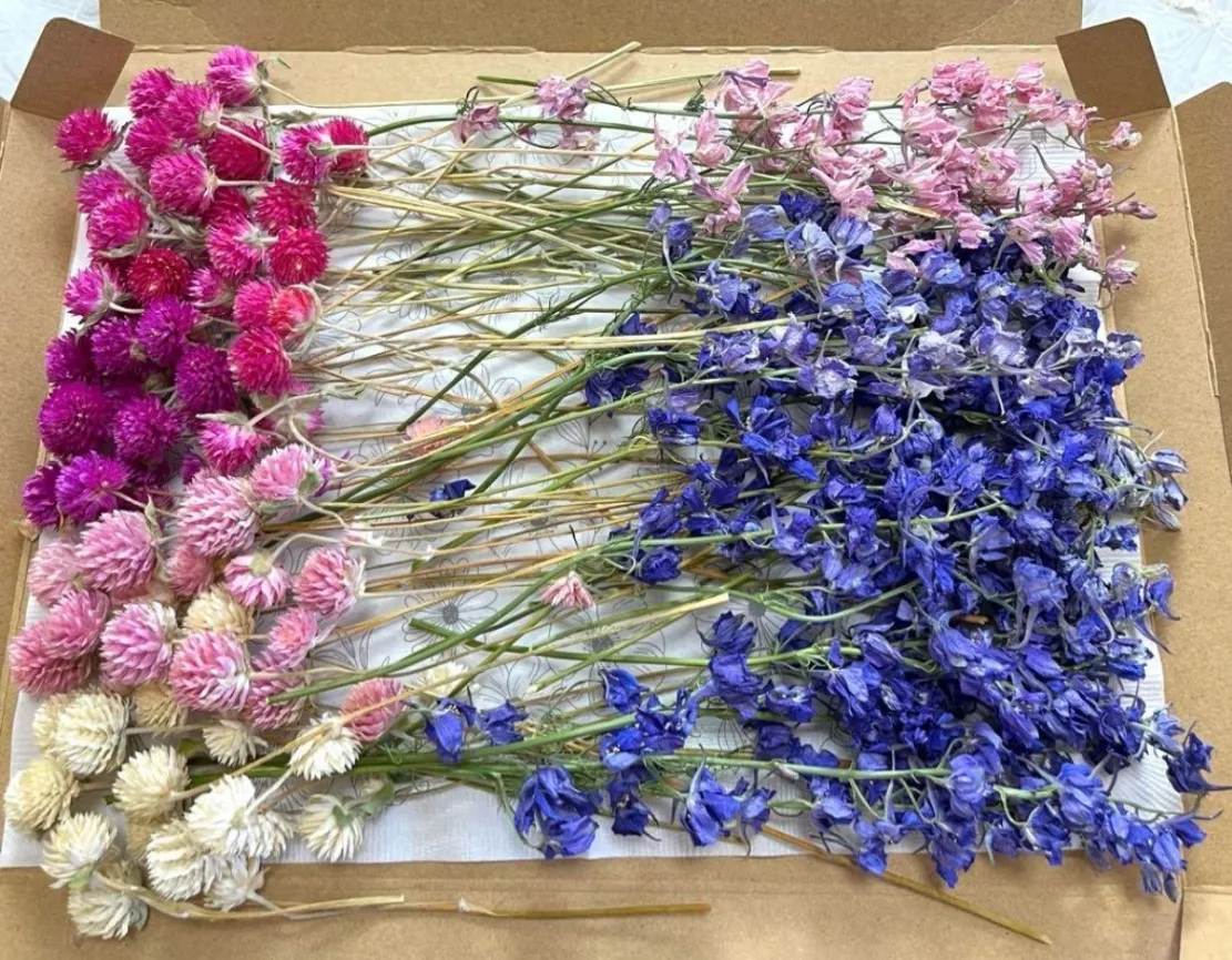 千鳥草＆千日紅のドライフラワー☆ドライフラワー花材