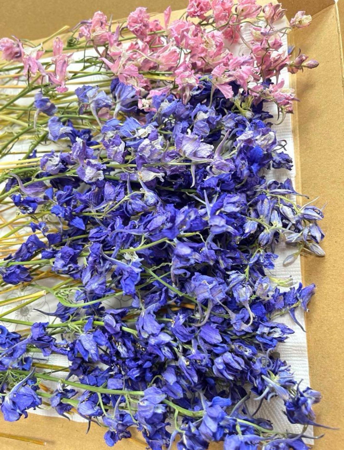 千鳥草＆千日紅のドライフラワー☆ドライフラワー花材