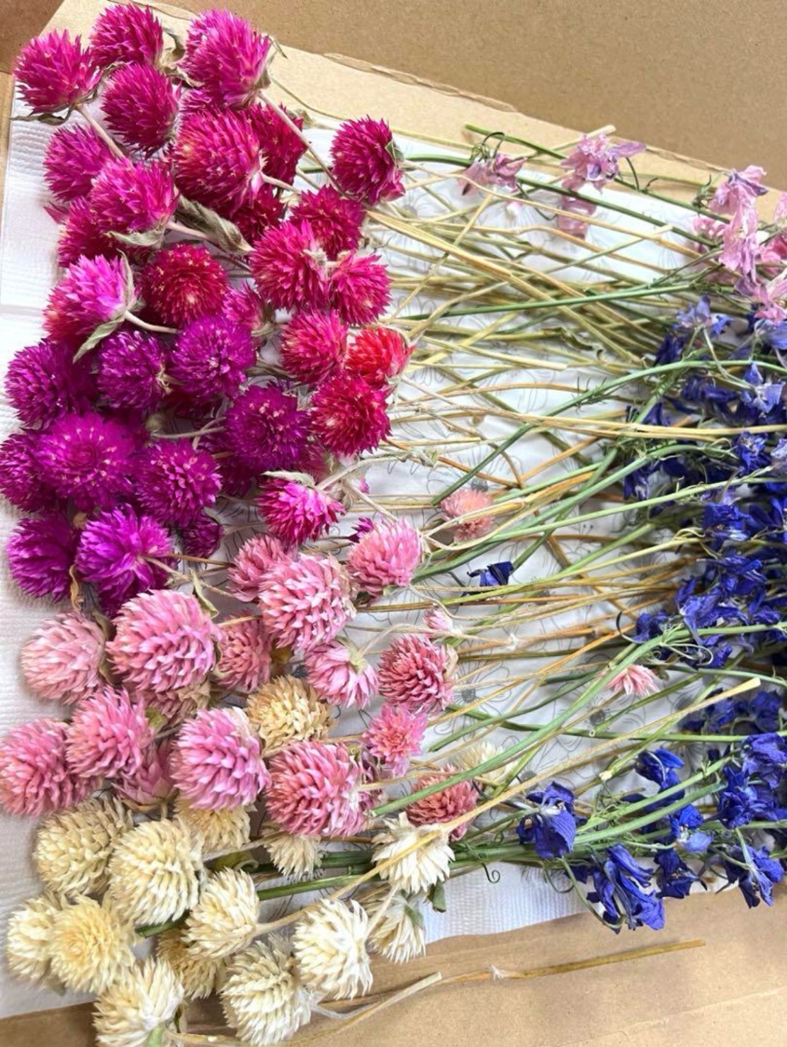 千鳥草＆千日紅のドライフラワー☆ドライフラワー花材