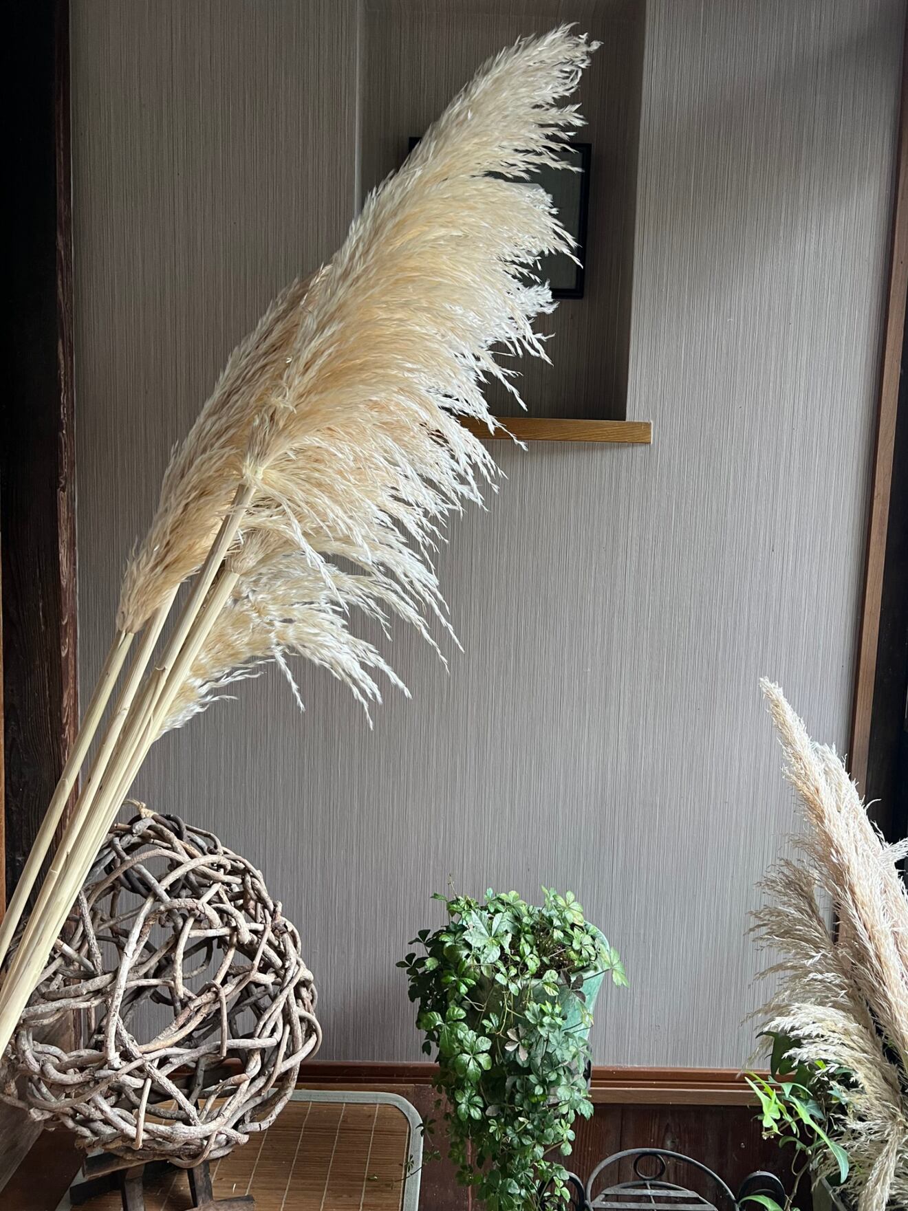 花穂５０センチ以上！　ふわふわもふもふのパンパスグラス５本セット