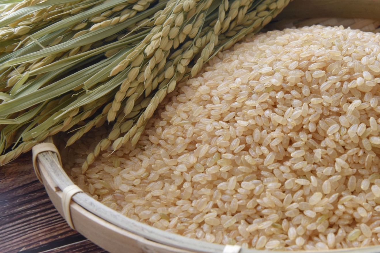R7年産　新米 岡山県倉敷市真備町産のきぬむすめ　玄米10kg 送料無料
