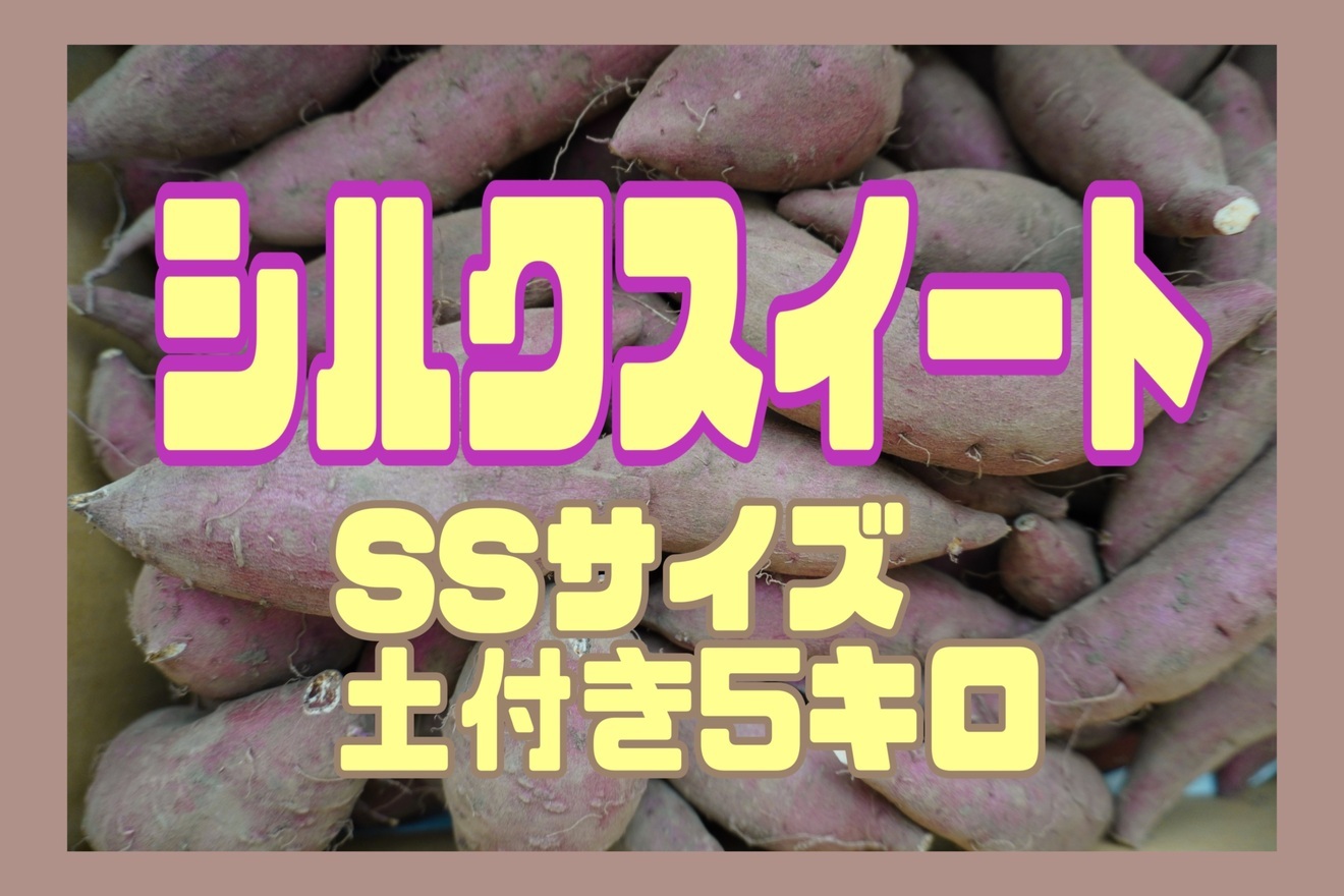 【年内のみ期間限定販売】【鹿児島県産】シルクスイート 🍠SSサイズ 5kg（土付き・2ヶ月熟成）
