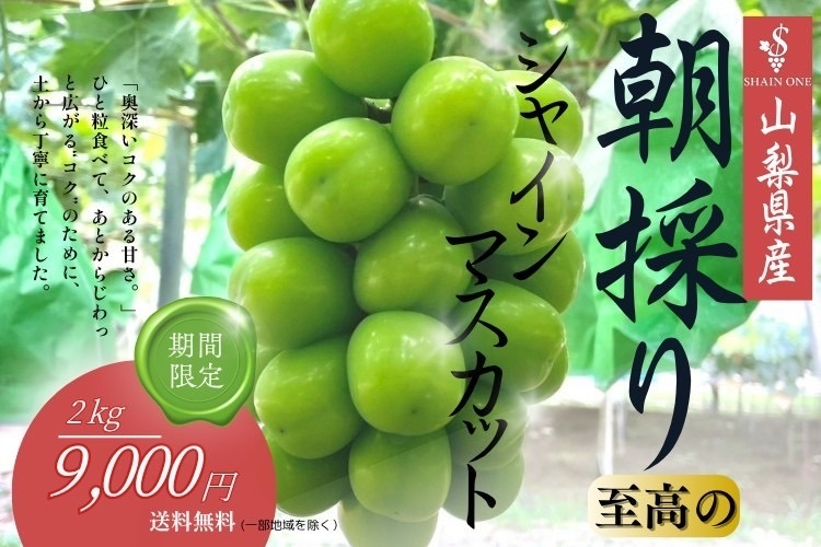 [8月下旬発送]シャインマスカット2kg～発酵の土で育った至高の房～