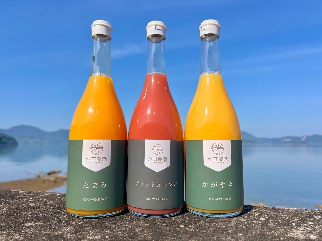みかんジュース3種セット②