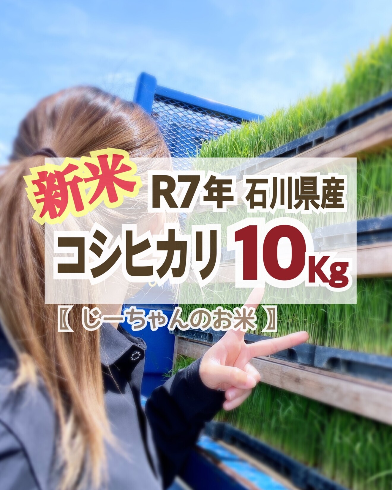 〖 じーちゃんのお米🌾 〗新米！コシヒカリ10kg 石川県　令和７年産　玄米 or 白米