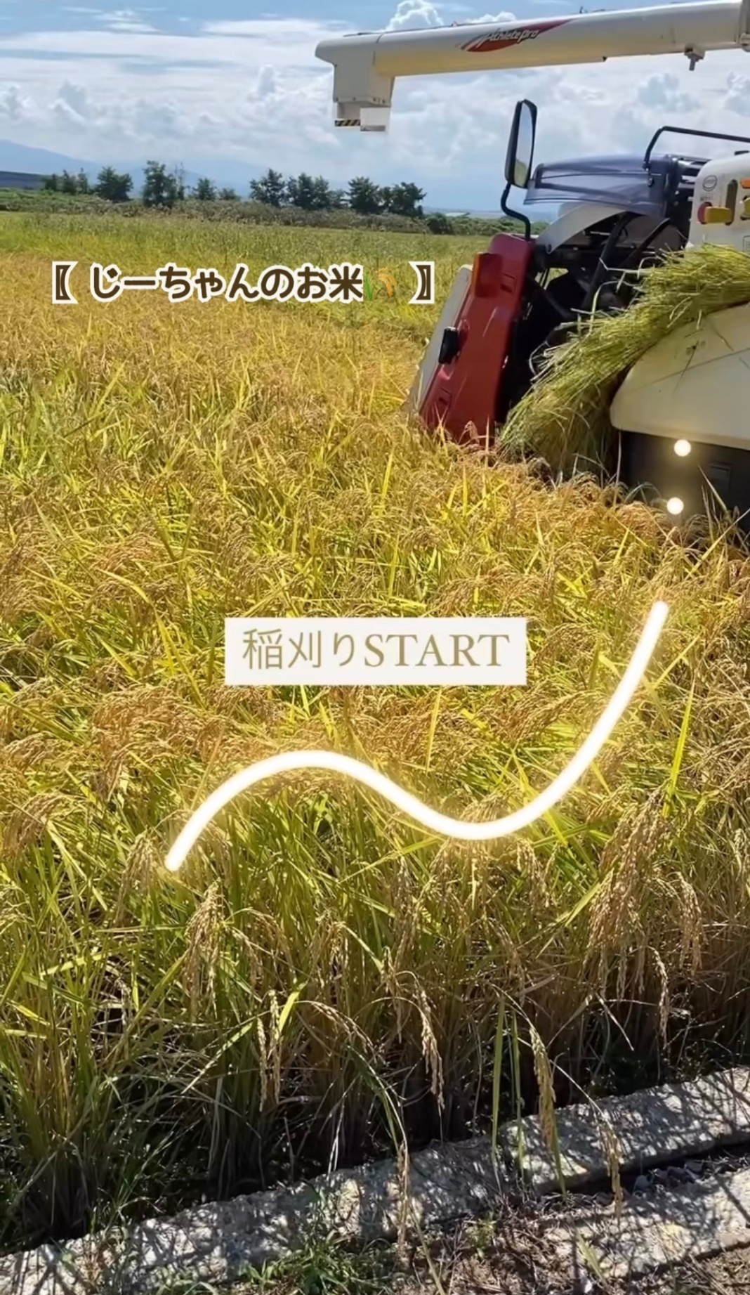 〖 じーちゃんのお米🌾 〗新米！コシヒカリ10kg 石川県　令和７年産　玄米 or 白米