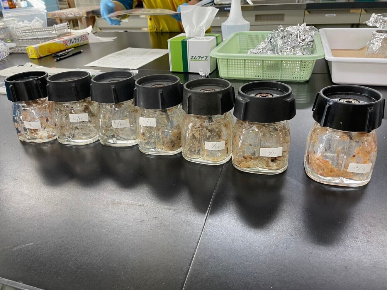 【サイズ特大！9〜11尾 400g】活き〆を急速冷凍！刺身OK