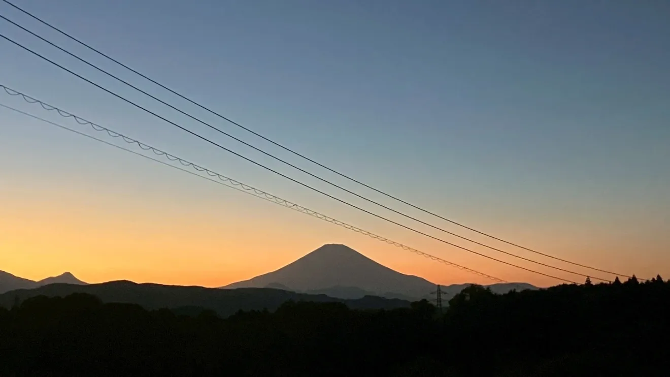 大磯産みかん　5キロ