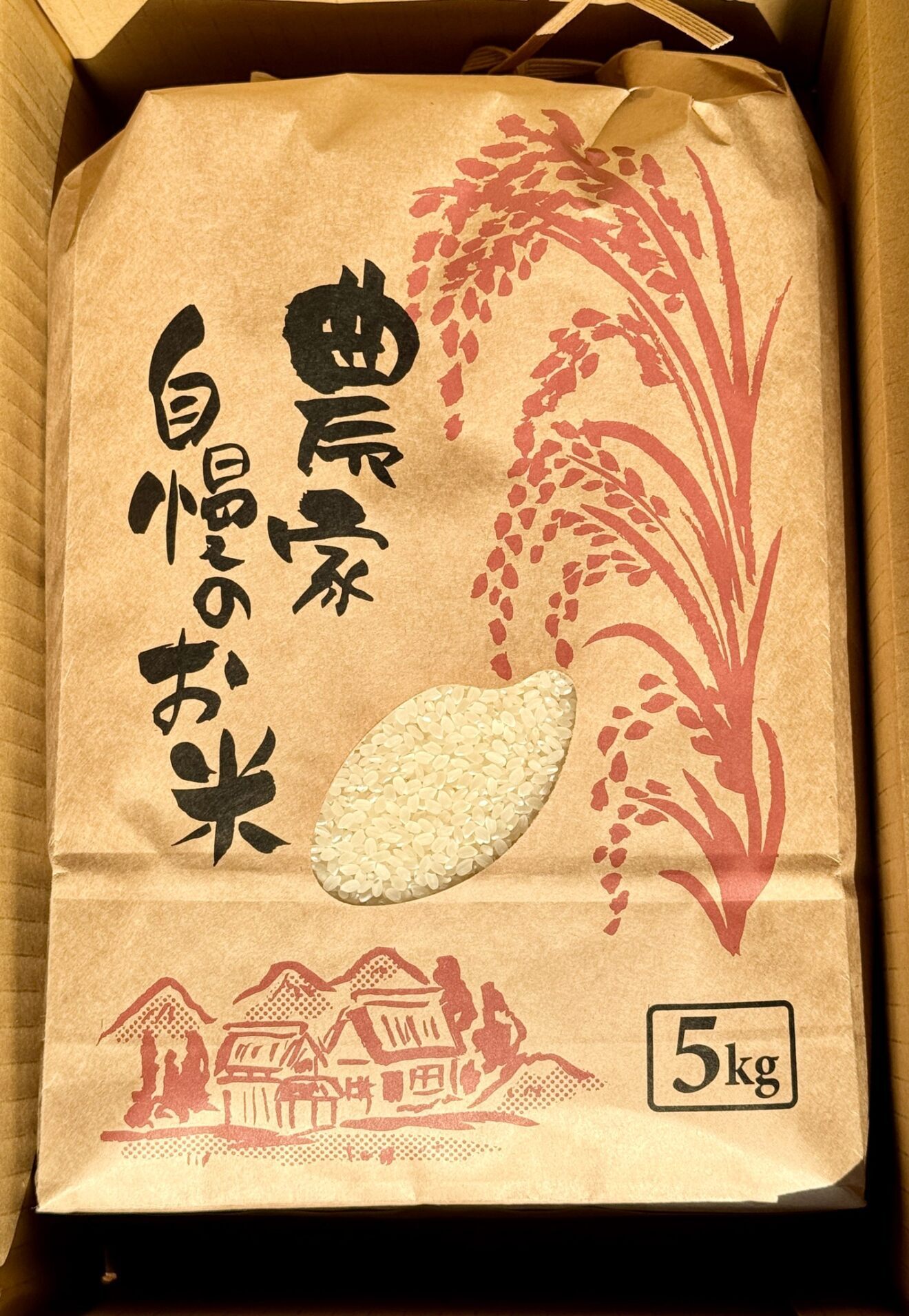 【令和7年産　こしひかり】5kg　農家直送コシヒカリ
