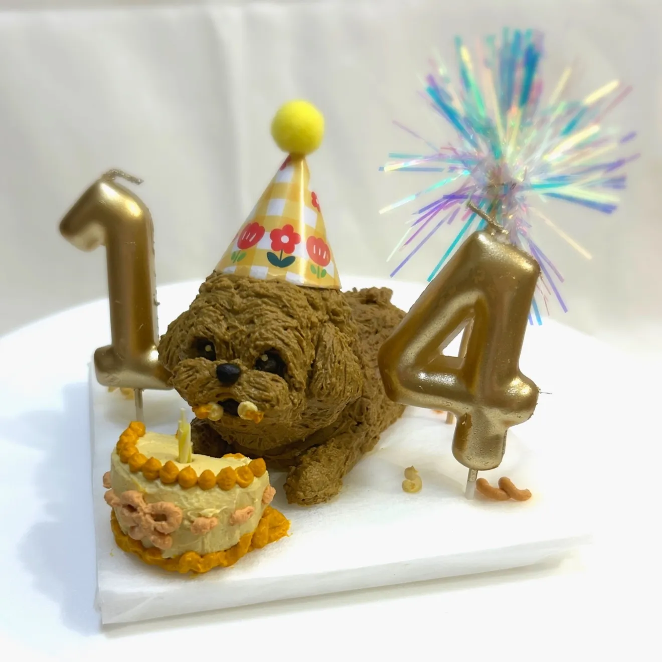 動物看護師がつくる犬のオーダーメイドケーキ🎂