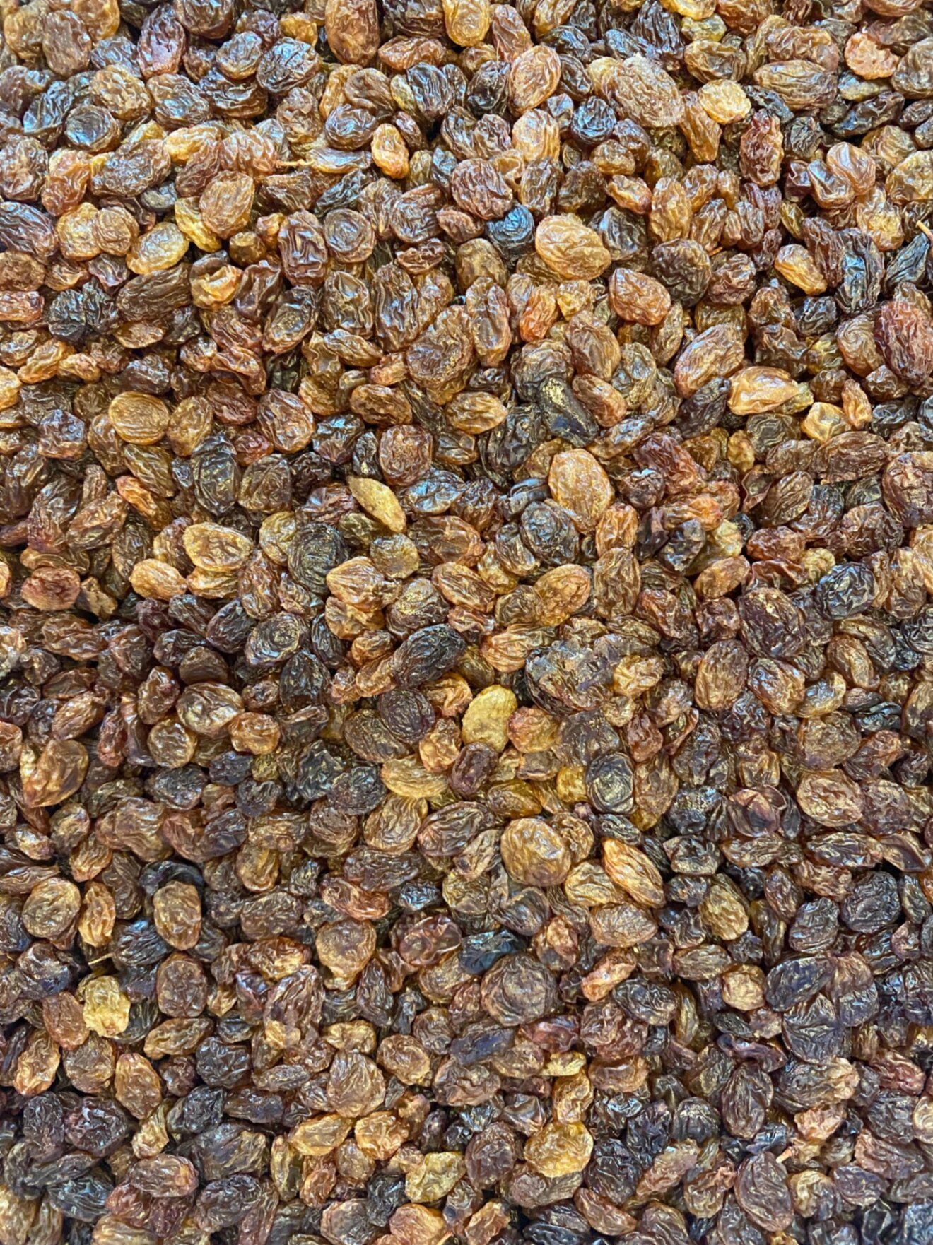 薪窯で焼く香り高き大きなパン
「パン・オ・レザン」（レーズンパン）