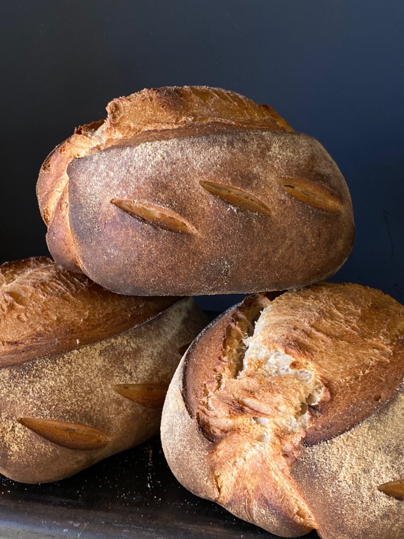 薪窯で焼く香り高き大きなパン
「ブリオッシュ・ペイザンヌ」