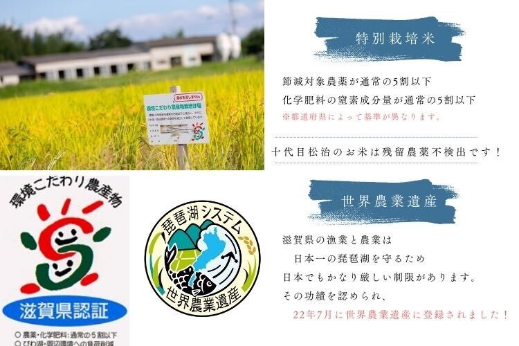 令和7年産【無洗米5kg】「きぬむすめ」特別栽培米！1750年から続くお米農家が作った縁起の竜王米