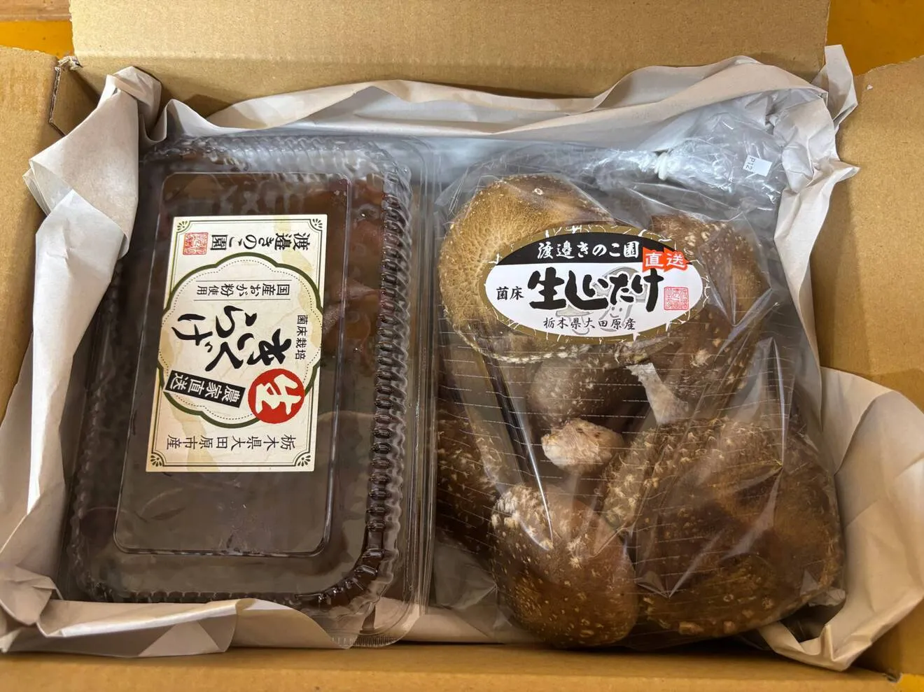 『夏限定‼︎』朝採り生キクラゲと椎茸の詰め合わせセット