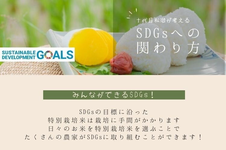 令和7年産【玄米5kg】「コシヒカリ」特別栽培米！1750年から続くお米農家が作った『縁起の竜王米』